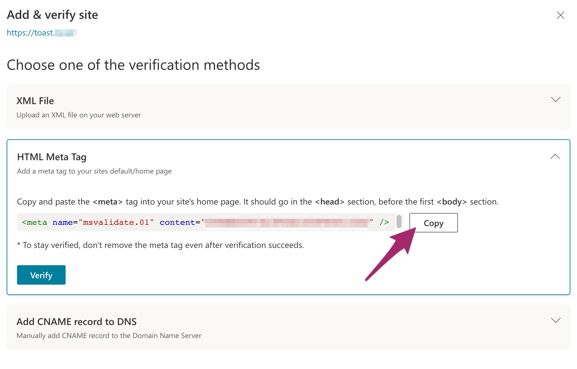 Screenshot of the "Copy" button in Bing Webmaster Tools