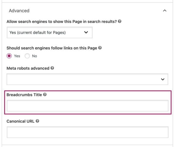 Screenshot of the breadcrumbs title field in the advanced settings in the Yoast SEO metabox. 