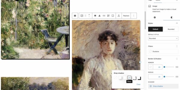 Image blocks with drop shadow effect in WordPress 6.5